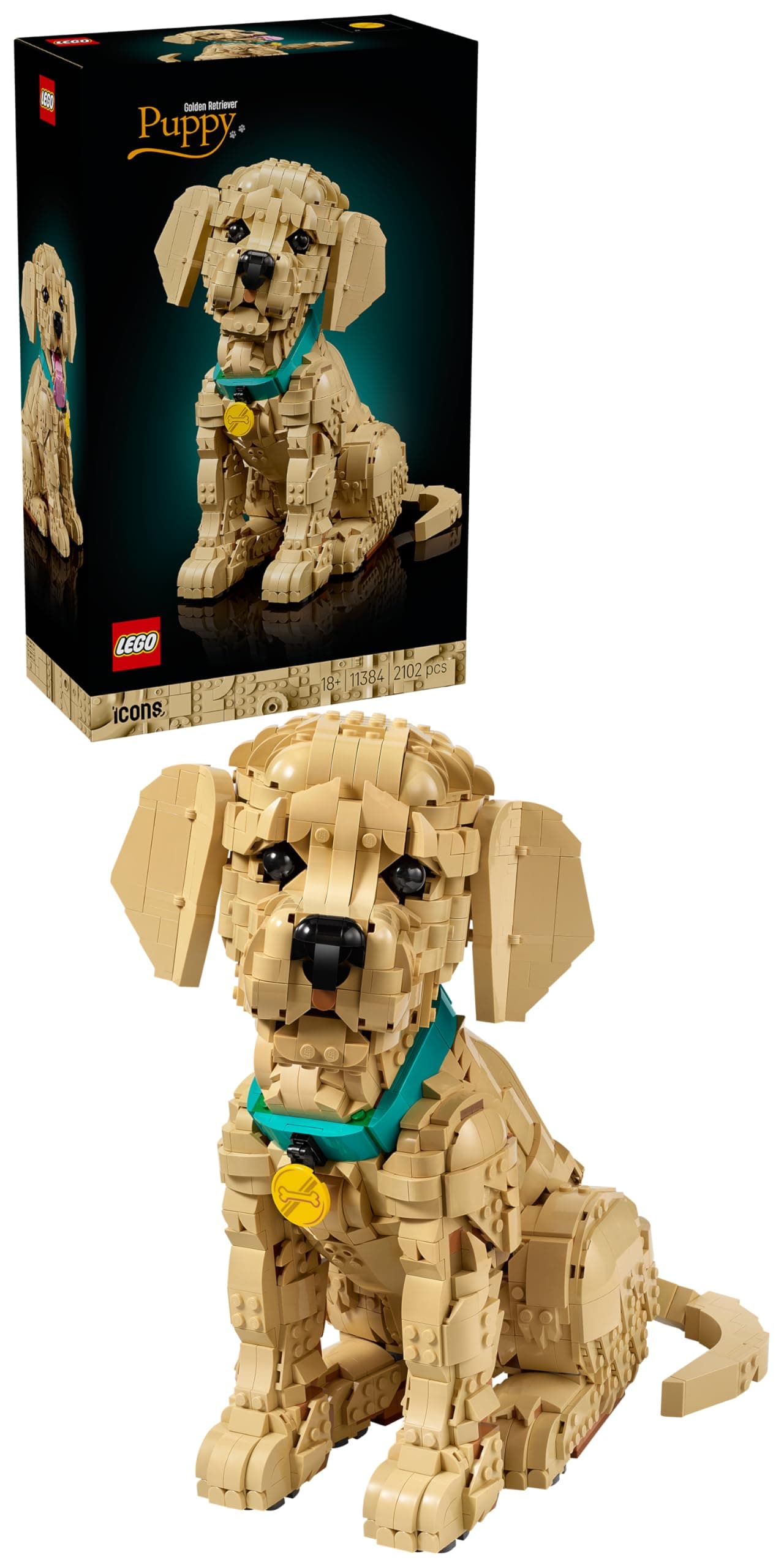 LEGO Icons Golden Retriever Welpe - Modellbau für Erwachsene - 3D Tierfigur zum Ausstellen mit Halsband & Medaille - DIY Deko für Regal oder Schreibtisch - Geschenkidee für Kunst- & Bastelfans - 11384