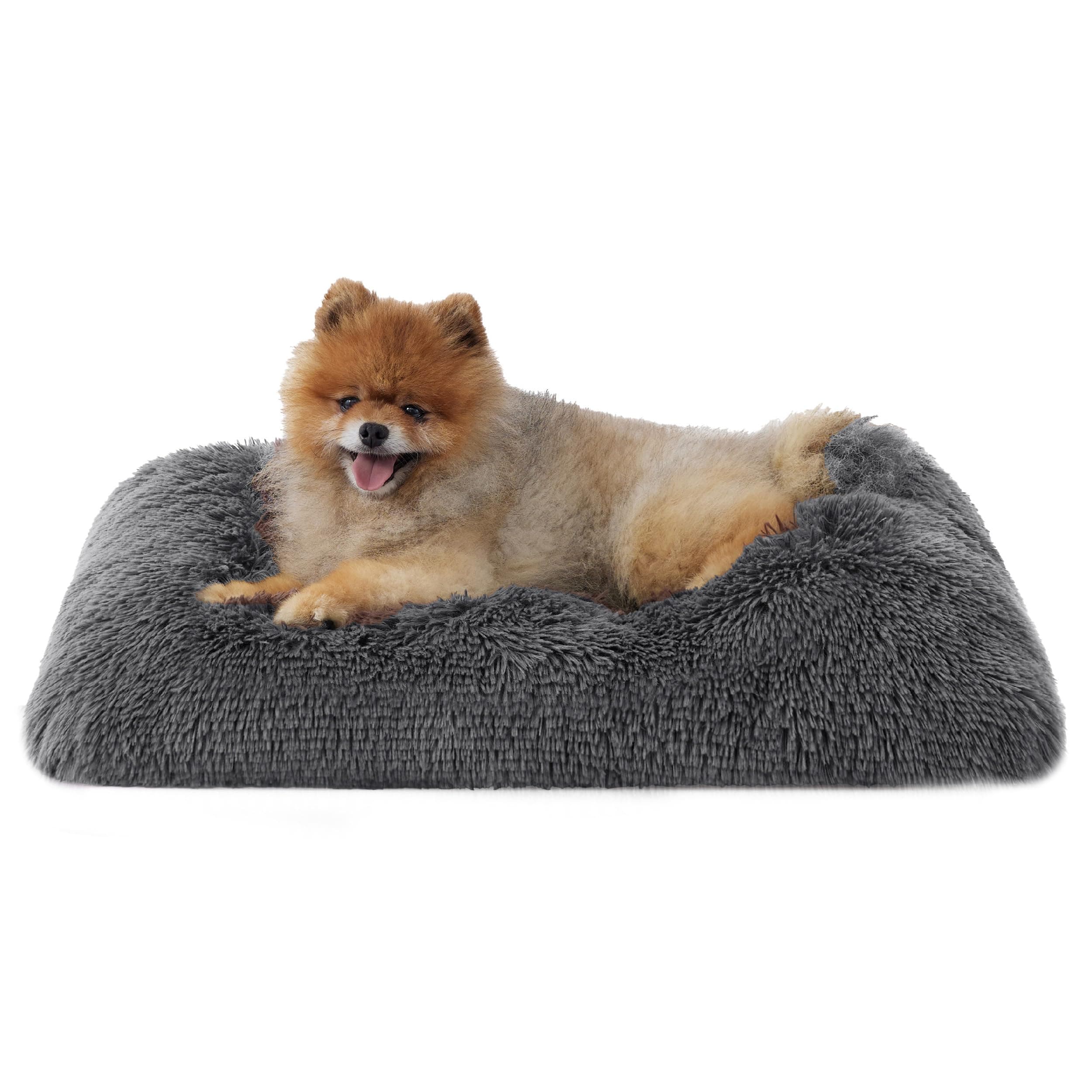 BEDSURE Flauschiges Hundebett für kleine Hunde - 61x45x8 cm Hundebett waschbar, rutschfeste Unterseite, plüsch Hundekissen, Dunkelgrau