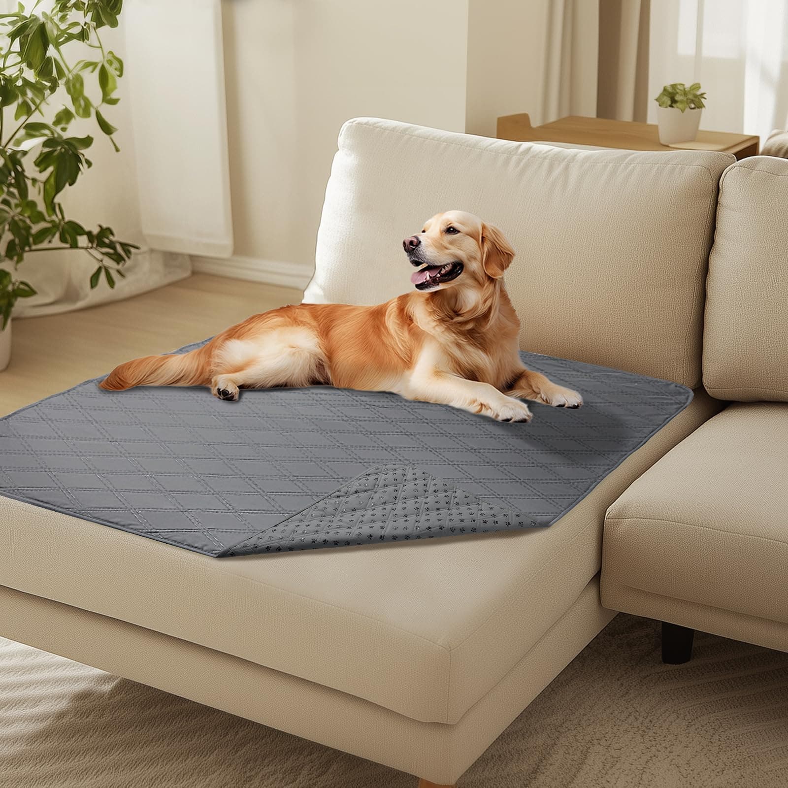 luciphia Copridivano per Cani Impermeabile, Coperta per Cani 100% Impermeabile con Punti Antiscivolo Tappetino Protezione per Mobili Bambini Cane Gatti Lavaggio in Lavatrice Grigio Chiaro 101_x_127cm